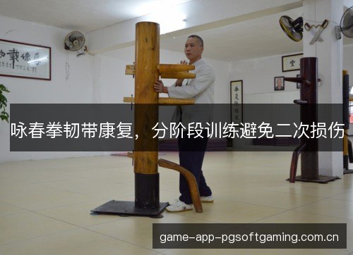 咏春拳韧带康复,分阶段训练避免二次损伤 咏春拳韧带康复,分阶段训练避免二次损伤