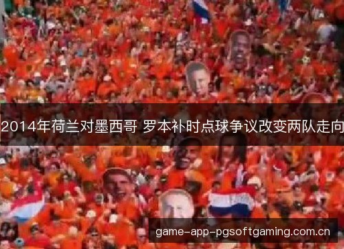 2014年荷兰对墨西哥 罗本补时点球争议改变两队走向